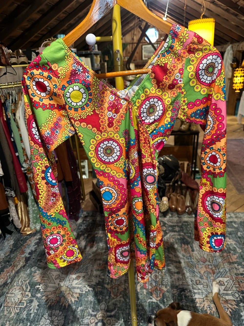 Vibrant Floral Long-Sleeve Mini Dress in Multicolor